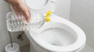 Una mano versa aceto bianco in un water per la pulizia domestica
