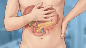 Illustrazione di un corpo umano con focus sul pancreas e gli organi circostanti
